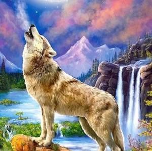 Meet your Posher, Jesse